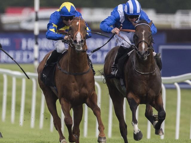 Tasleet (right) is expected to win the opening contest at York